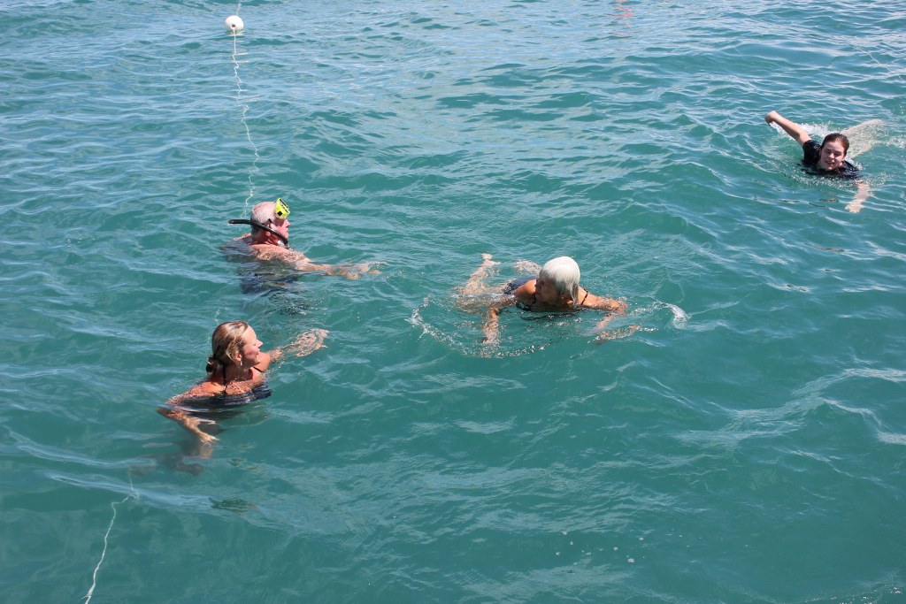 Snorkelling & swimming on a morning adventure cruise