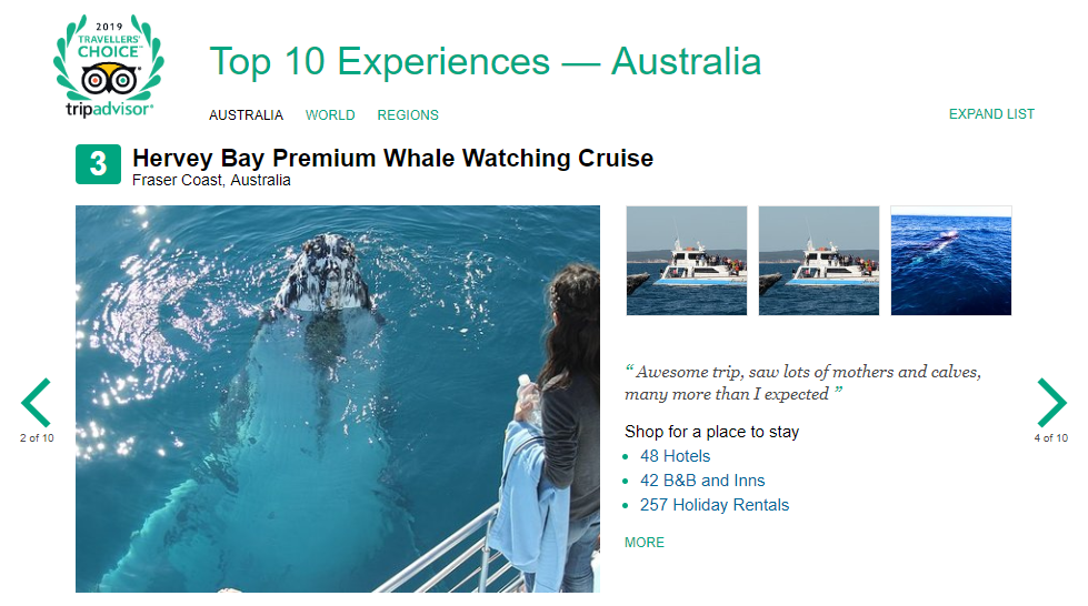 Freedom Whale Watch is ranked number 3 in 2019 Travellers Choice Award by Trip Advisor